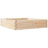 Natural_pine