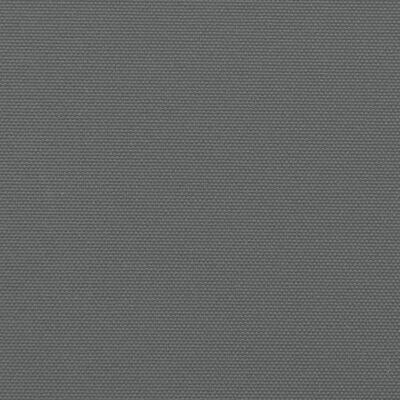 vidaXL Zwijana markiza boczna, antracytowa, 200x300 cm