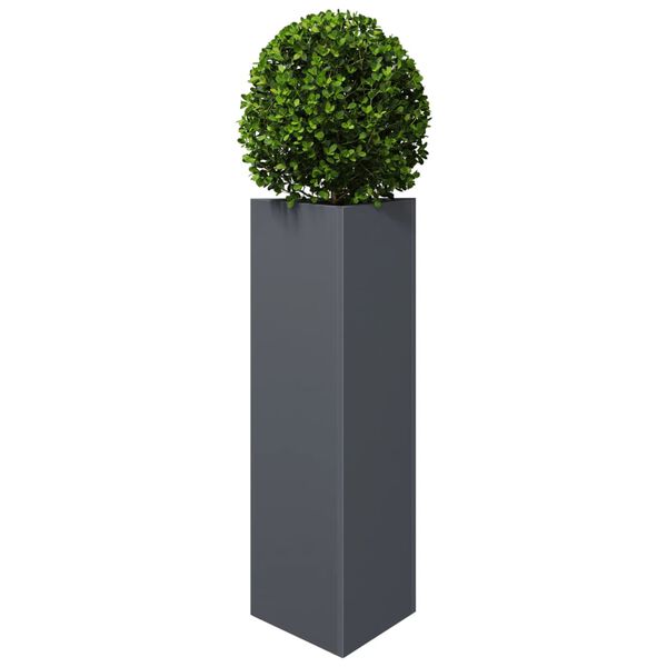 Wyświetlanie zdjęcia produktu 4 z 12