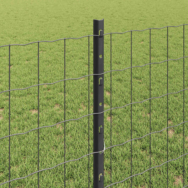 Wyświetlanie zdjęcia produktu 4 z 13