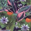 DUTCH WALLCOVERINGS Tapeta Passion Flower, granatowo-zielona