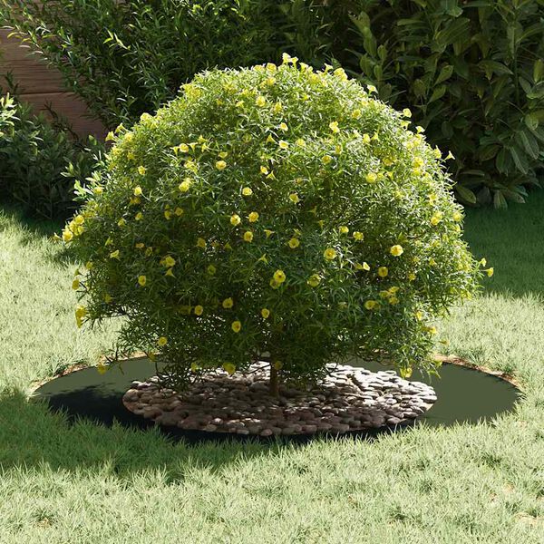 vidaXL odpowiedni dla płaskich pierścieni drzewa 5 pcs oliwkowy