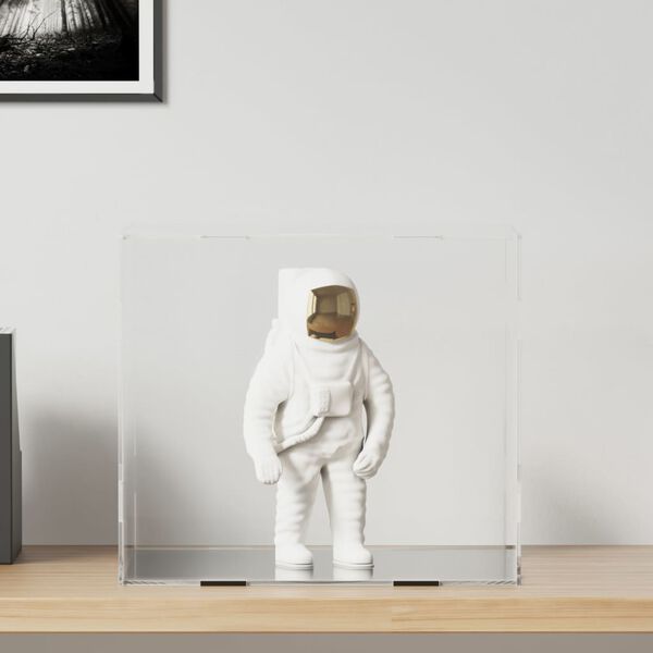 vidaXL Pudełko ekspozycyjne przezroczyste 40x36x35 cm Akryl