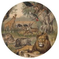 WallArt Okrągła fototapeta Animals of Africa, 142,5 cm