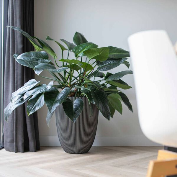 Capi Elegancka donica Groove, 46x58 cm, antracytowa