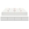 vidaXL Rama łóżka z miejscem na przechowywanie z szufladą Biały 120 cm