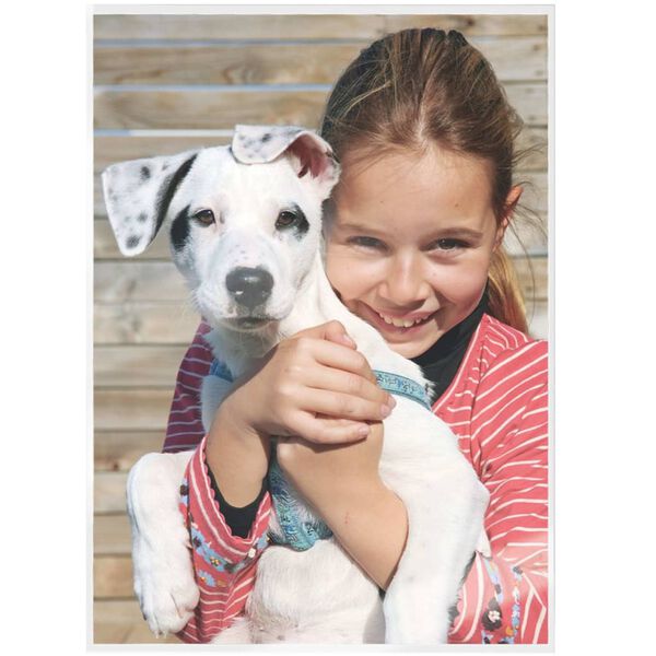 Leitz Folie do laminowania ILAM, 80 mikron&oacute;w, A5, 100 szt.