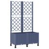 Blue_grey