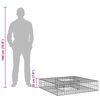 vidaXL Podniesione ł&oacute;żko gabionowe Srebrny 100 x 100 x 20 cm
