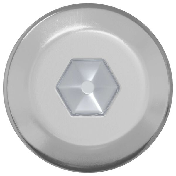 vidaXL Śruba 12 pcs Srebrny M6 x 120 mm Stal