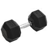 vidaXL Hantel, 25 kg, żeliwo