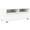 vidaXL Szafka pod telewizor 100 x 48 x 43 cm Biały Drewno inżynieryjne