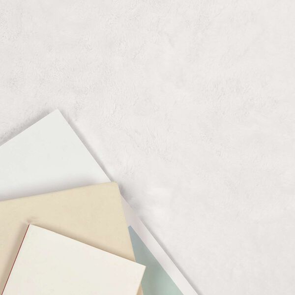 vidaXL Dywan z sztucznego kr&oacute;lika Olite Biały 140 x 200 cm Poliester