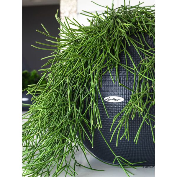 LECHUZA Donica PURO Color 50 ALL-IN-ONE, śr. 50 cm, łupkowa