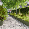 Olive_green