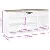 vidaXL Ławka na buty z poduszką, biała, 104x30x49 cm