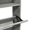 vidaXL Szafka na buty z lustrem, 4 poziomy, szary beton, 63x17x134 cm