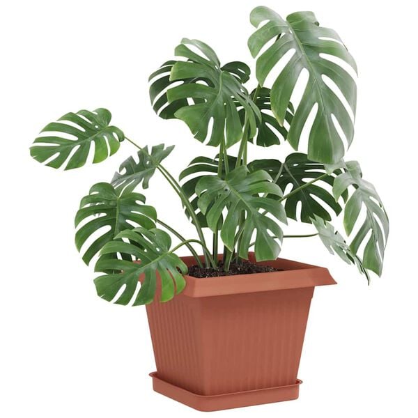 Wyświetlanie zdjęcia produktu 3 z 10