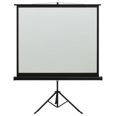 vidaXL Ekran projekcyjny ze stojakiem, 60'', 1:1