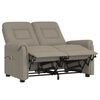 vidaXL 2-osobowy fotel rozkładany, jasnoszary, obity mikrofibrą