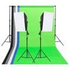 vidaXL Zestaw do studia fotograficznego, tła i softboxy