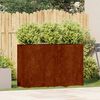 vidaXL Doniczka Rusty 120x40x80 cm Stal nierdzewna