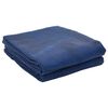 vidaXL Dywan pod namiot Niebieski 250 x 250 cm Poliester