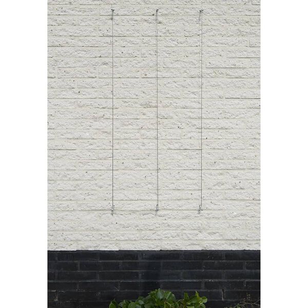 Nature Zestawy do trejażu ogrodowego, wykonane z drutu, 2 szt.