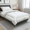Miniatura produktu 2 z 12