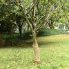 Miniatura produktu 2 z 7