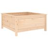 Natural_pine