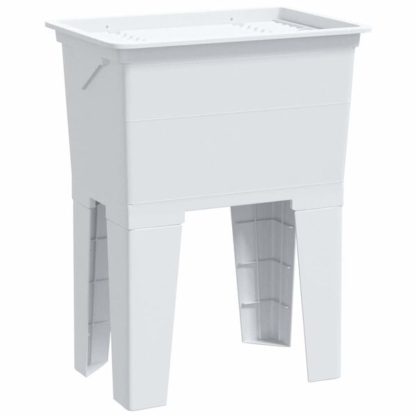 Wyświetlanie zdjęcia produktu 1 z 12
