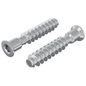 vidaXL Śruba z gł&oacute;wką kapeluszową 2 pcs Srebrny M7 x 40 mm Stal