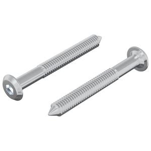 vidaXL Śruba 2 szt. Srebrny M6 x 50 mm Stal