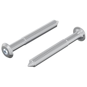 vidaXL Śruba 2 pcs Srebrny M6 x 50 mm Stal