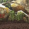 Miniatura produktu 2 z 5