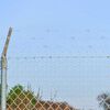 Miniatura produktu 2 z 6