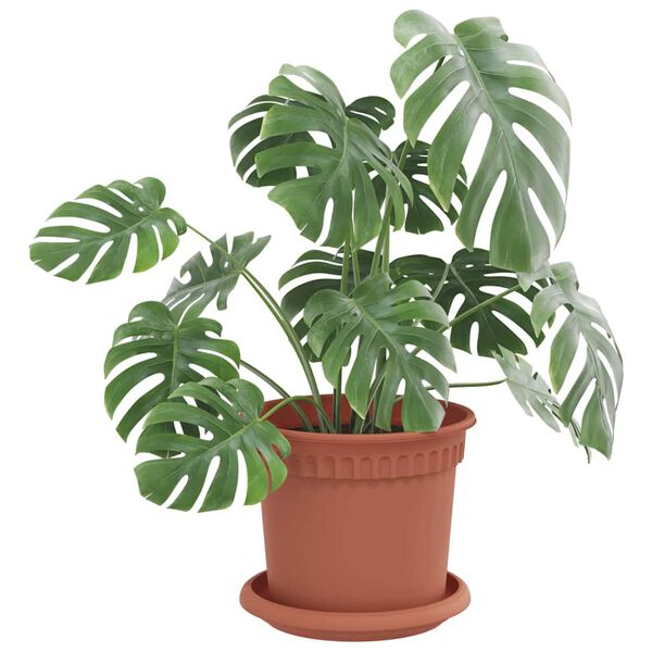 vidaXL Okrągły Talerzyk Kwiatowy 24 pcs Czerwony ceglasty &Oslash; 14 x 2 cm