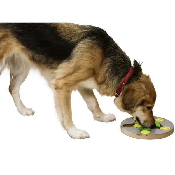 Kerbl Zabawka edukacyjna dla psa Switch, 25 x 2,5 cm