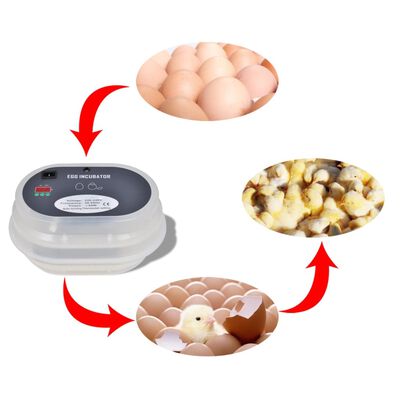 Inkubator na 9 kurzych jaj