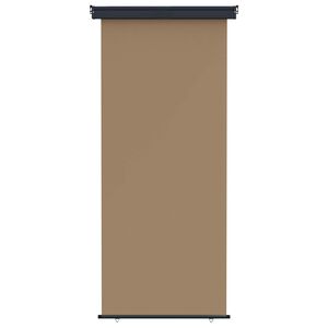 vidaXL Markiza boczna na balkon 100 x 250 cm