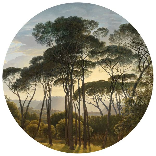 WallArt Okrągła fototapeta Umbrella Pines in Italy, 142,5 cm