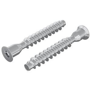 vidaXL Śruby confirmat 2 pcs Srebrny &Oslash;7 x 50 mm Metal