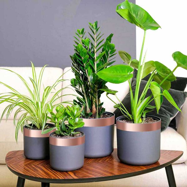 vidaXL Taśma miedziana 6 pcs miedziany 2000 x 5 cm miedziany