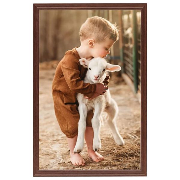 vidaXL Ramki na zdjęcia, 5 szt., stojące, brązowe, 21x29,7 cm, MDF