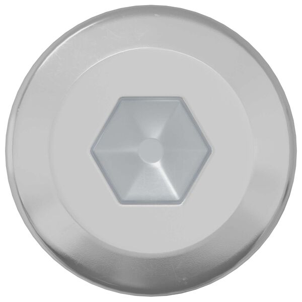 vidaXL Śruba Zablokowująca Gładki 2 pcs Srebrny M6 x 12 mm Stal