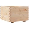 Natural_pine