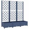 Blue_grey