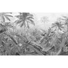 Komar Fototapeta Amazonia, czarno-biała, 400x250 cm