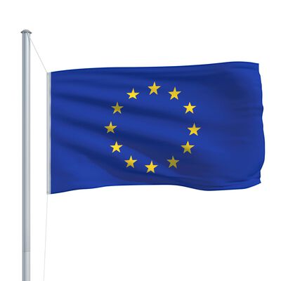vidaXL Flaga Europy, 90 x 150 cm